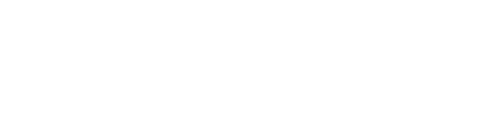 portfolio 2024